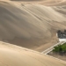 the phenomenon of bizarre caterpillar appearance on sand in china 128343