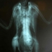 the photo is of an alien from space in the mother bird 5931