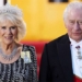 the public will admire what at the coronation of king charles iii 127109