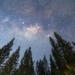 the reason humans can no longer see the sun 127750
