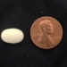 the remarkable truth about bird eggs and the science behind it 126887