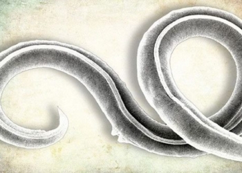 the resurrection of worms 46 000 years in siberia 128918