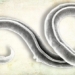 the resurrection of worms 46 000 years in siberia 128918