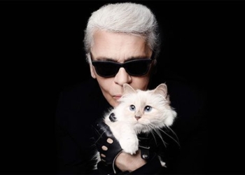 the richest and most famous cats in the world how much money do they make each year 127038