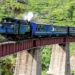 the slowest train in india why so many tourists still pay to experience it 128767