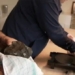 the stone angel fell from the sky and hit the house of the man laughing loudly because of the 5 billion dong wife 128300