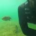 the strange man makes friends with an oyster and meets regularly 128171