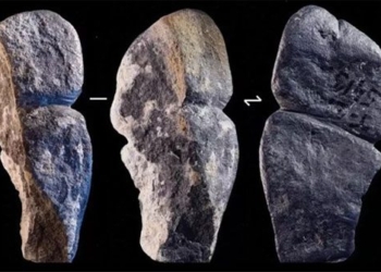 the strange thing 42 000 years old 128422