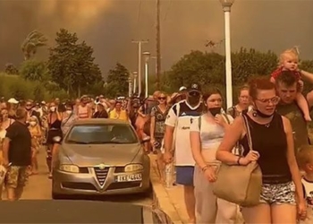 the summer day in greece hundreds of people and animals everywhere are saved from disaster 128826