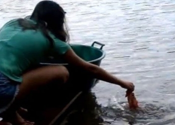the super toxic piranha fishing girl from brazil 126848