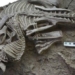 the surprising identity of the meat eating dinosaur dragon has been found in china 128749