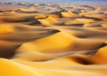 the transformation of the sahara from forest to desert 129149