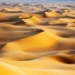 the transformation of the sahara from forest to desert 129149