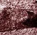 the truth about the feet of giants 5947