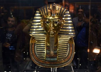 the truth about the mummy curse of tutankhamun 129185