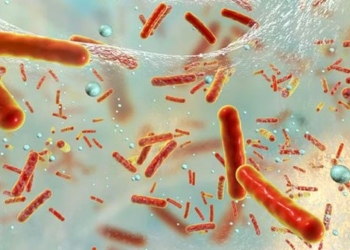 the truth behind nasas extraterrestrial bacteria defense system 128211