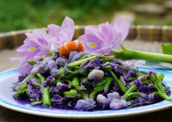 the type of plant vietnamese people usually throw away is actually a precious medicine delicious dish in many countries 129024