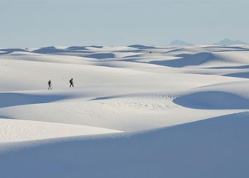 the unique beauty of sam mac area white as snow 129091