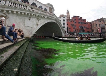 the water at venice canal unexpectedly changes to green 127762