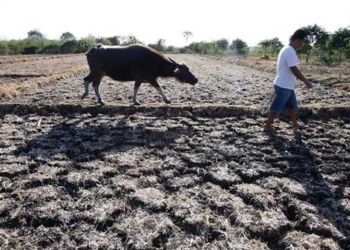 the world is about to experience record breaking heatwaves accompanied by storms 127362