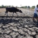 the world is about to experience record breaking heatwaves accompanied by storms 127362