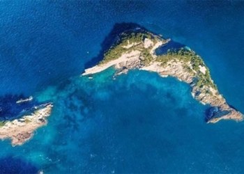 the worlds most unique dolphin island only welcomes 12 visitors at a time 127801