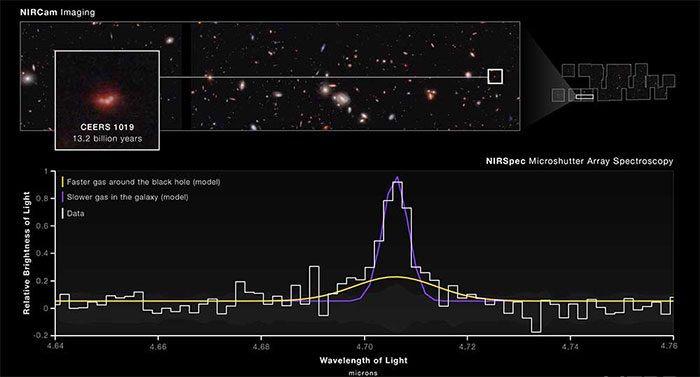 Galaxy CEERS 1019