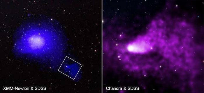 Dazzling image of the "monster" Coma observed by the XMM-Newton Telescope