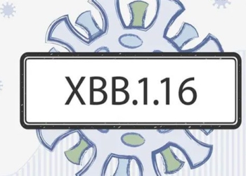 things to know about the xbb 1 16 variant increasing in asia 127026