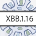 things to know about the xbb 1 16 variant increasing in asia 127026