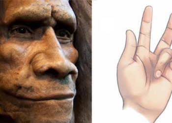 this point you can bring blood of another species 128249