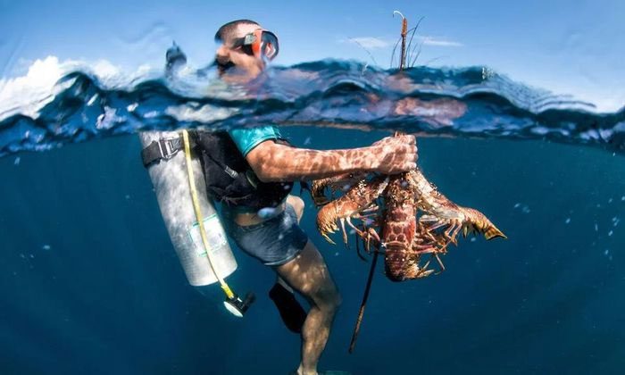 Lobster divers in Honduras.