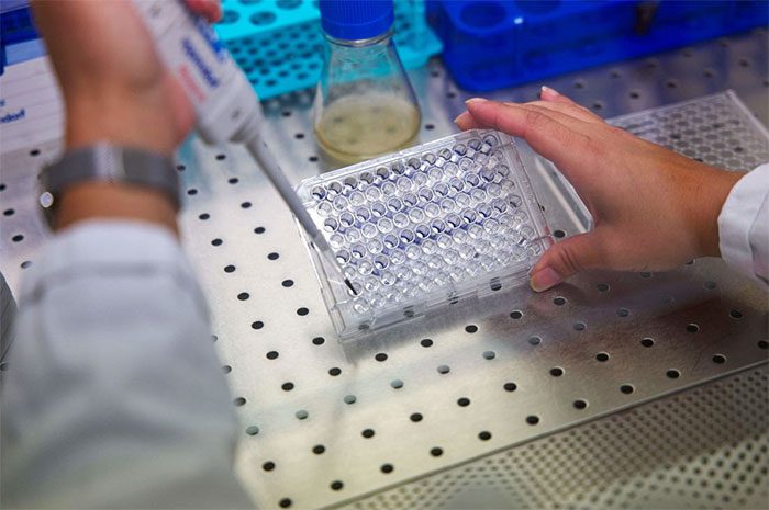 Dangerous pathogens originating from animals may evolve to infect humans.
