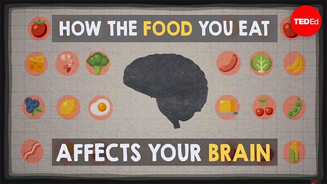 Food can significantly impact the brain.