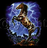 thunder horse