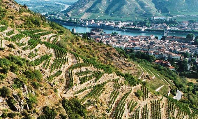 The Rhône Valley experienced an earthquake of 4.9 magnitude in November 2019