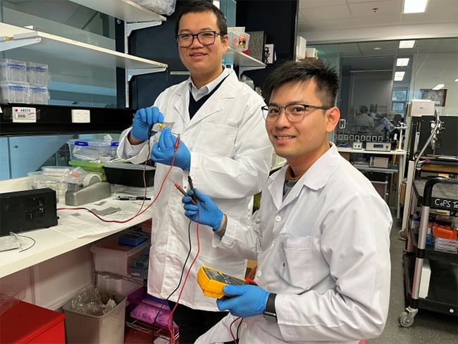 Dr. Truong Vi Khanh (left) with researcher Nguyen Tien Thanh in the laboratory