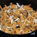 tobacco is harmful in every form 5800