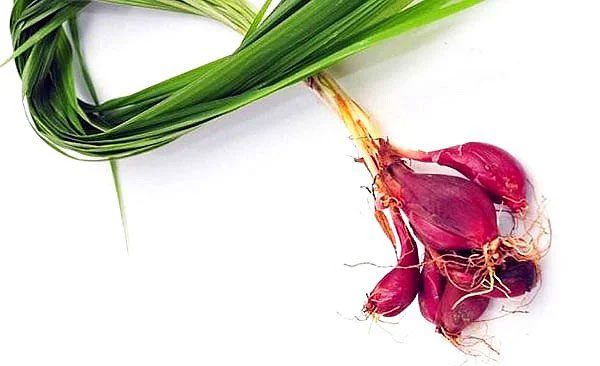 Red Garlic