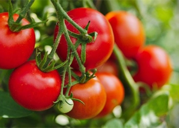 top 6 foods that help reduce fat in blood recommended by experts 128977