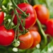top 6 foods that help reduce fat in blood recommended by experts 128977