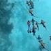 tourists courageous summon hundreds of monster fish in maldives 128640