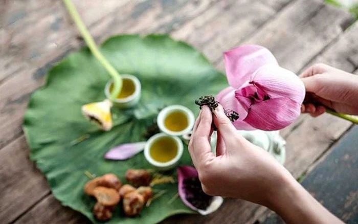 tra hoa sen