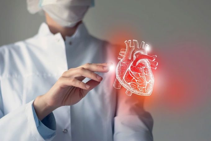 Cardiac muscles do not tire like skeletal muscles.