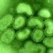 transmissible diseases in human history 5387