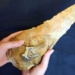 treasure drug 300000 years old chosen by others rich