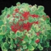 tri disease ky sinh trung help patients fight hiv 6004