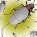 trojan chiem 85 dangerous software may 5 5956
