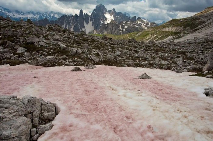 Watermelon-colored snow in the US.