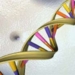 two types of gens related to heart attack 5496